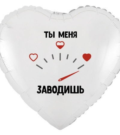  ТЫ МЕНЯ ЗАВОДИШЬ